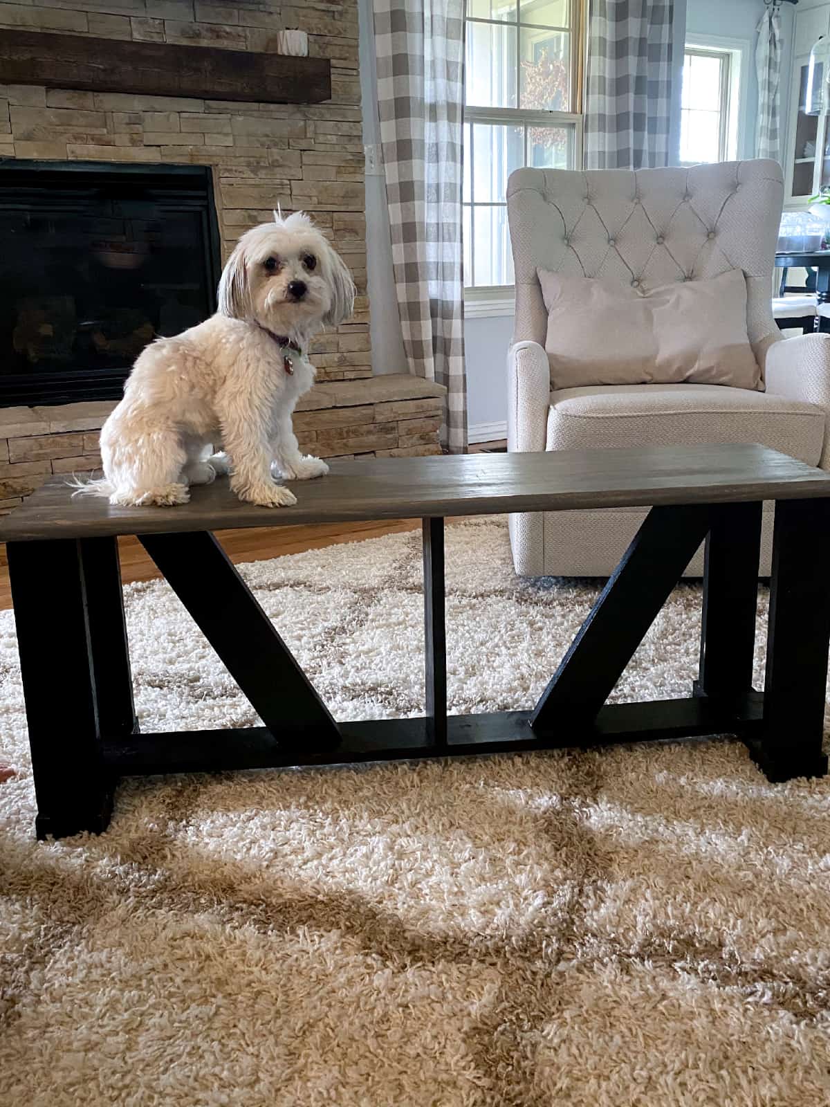 homemade diy black and gray farmhouse bench with dog on top