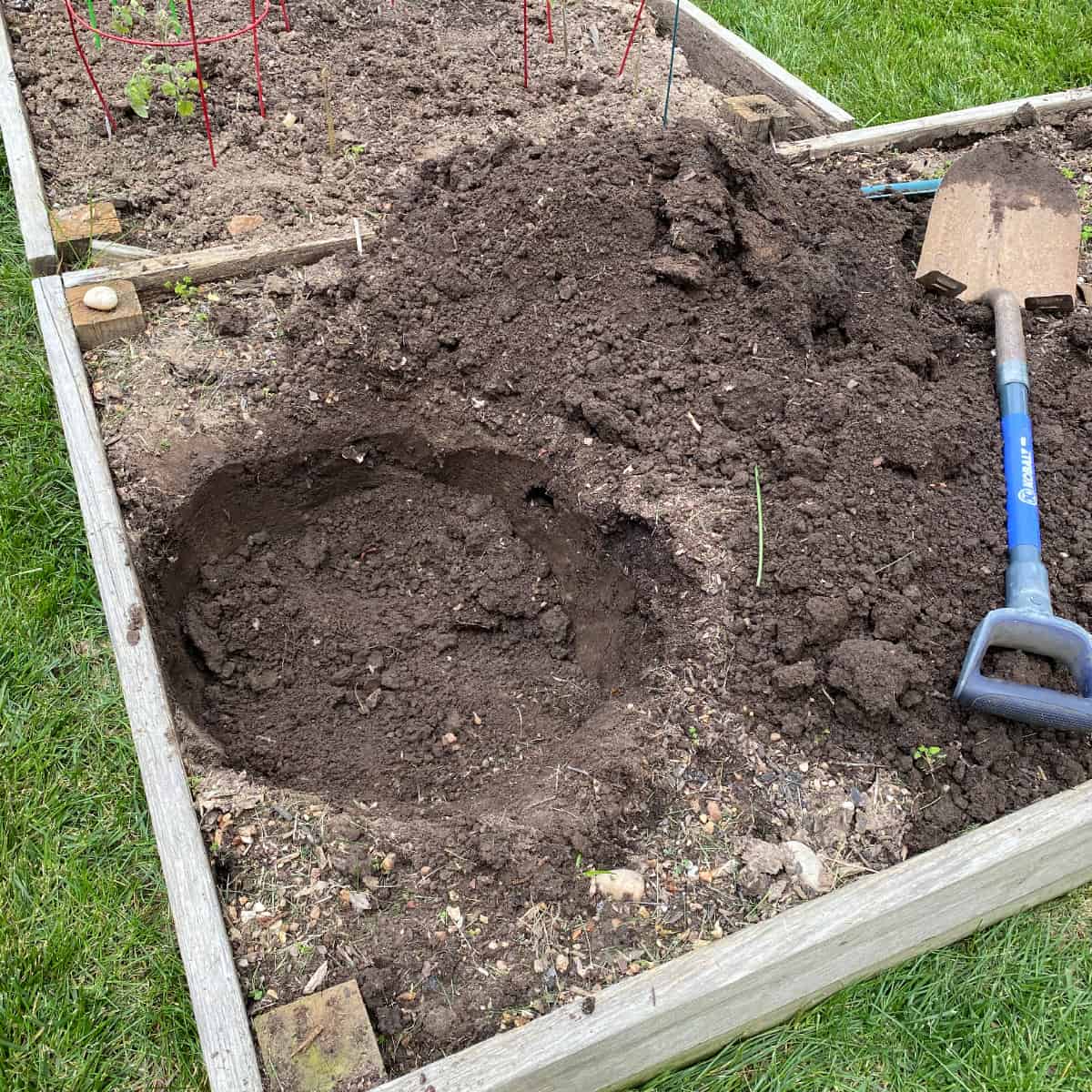 a hole dug in a raised garden bed in preparation for a pumpkin tower