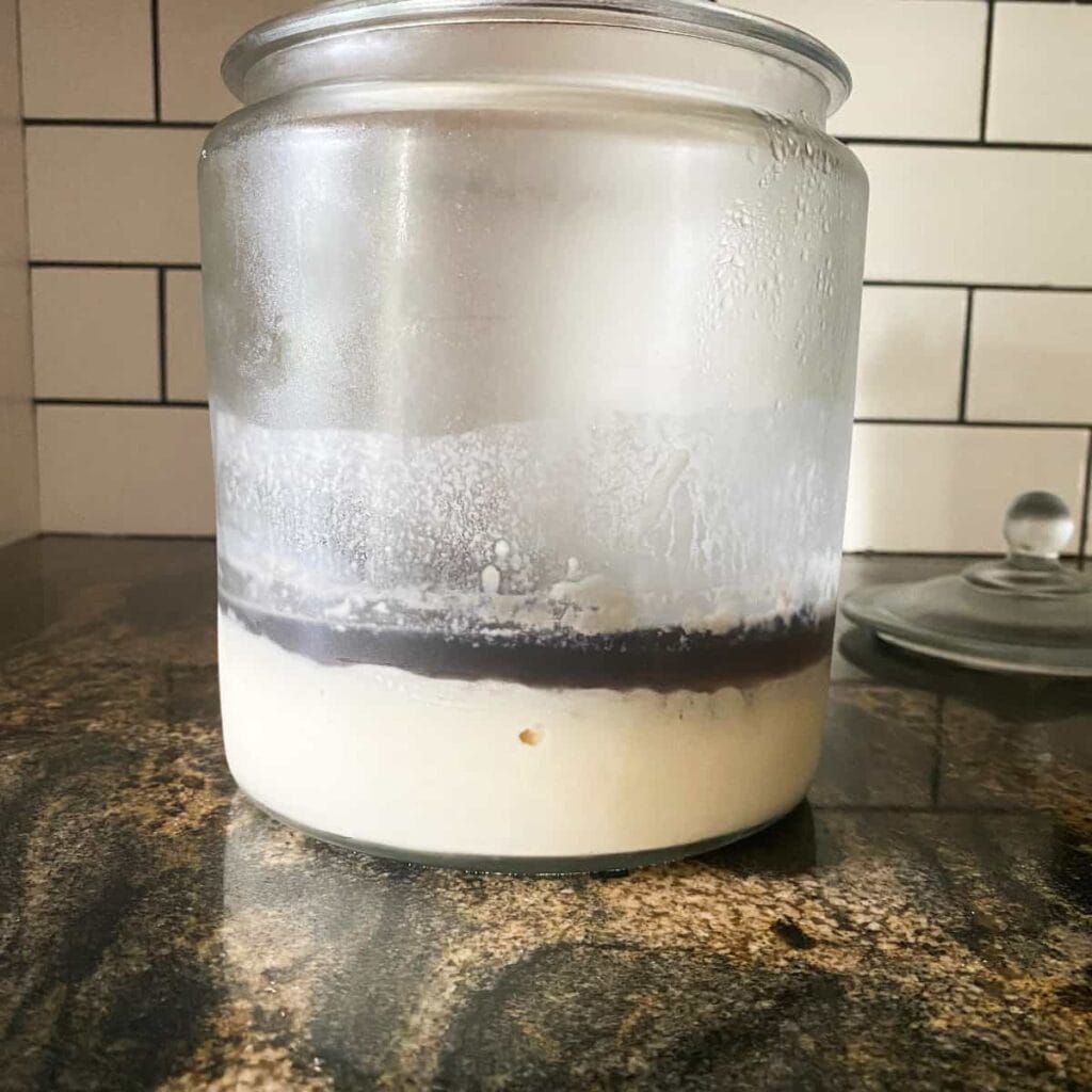 How To Save A Neglected Black Sourdough Starter - Missouri Girl Home