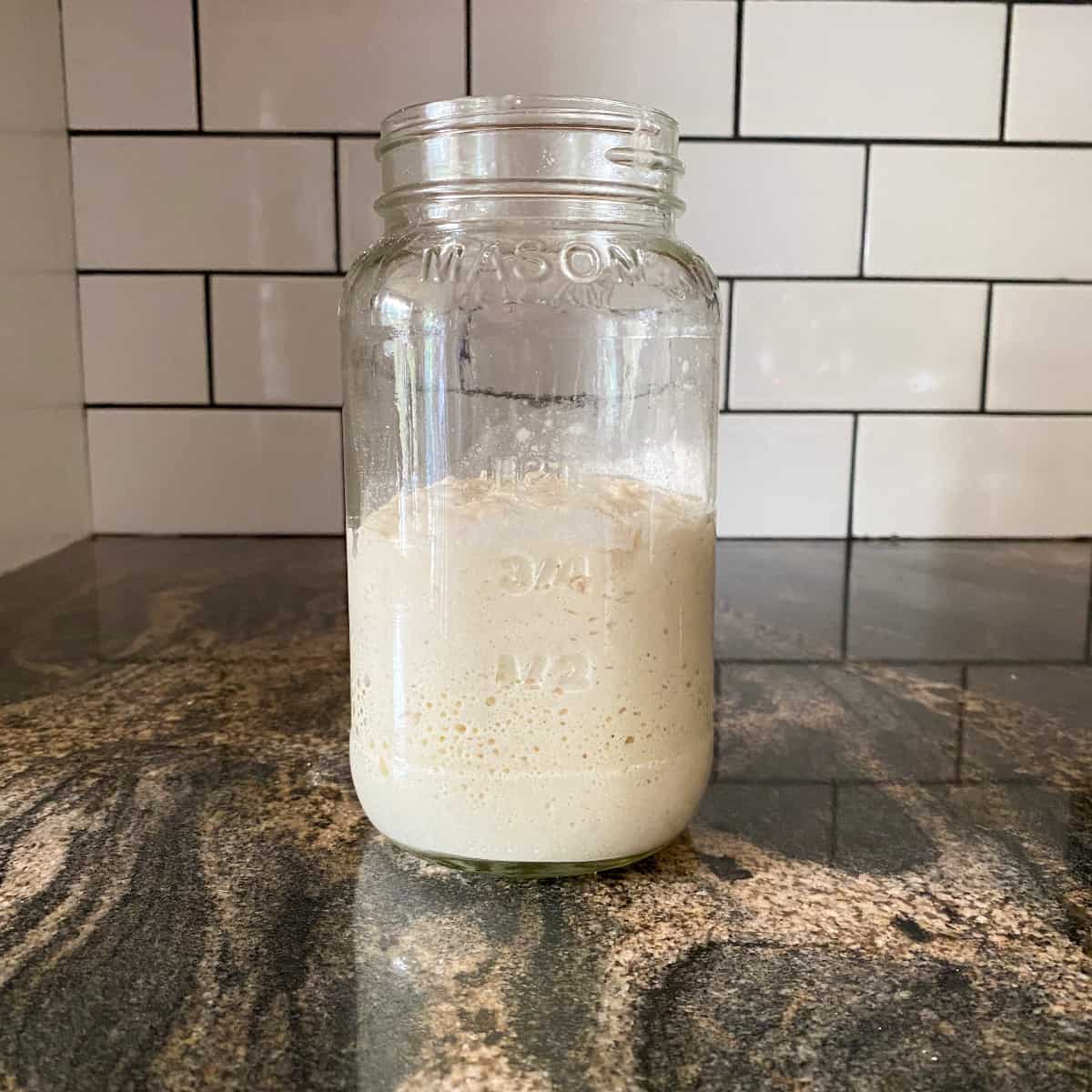 rising sourdough starter in a glass jar